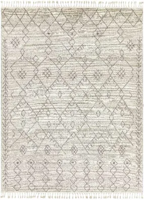 Paulstree Bohemian/Global Area Rug