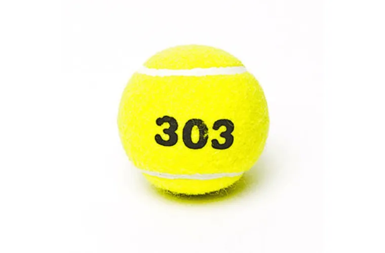 Wish Training Tennis Ball (pack of 12)